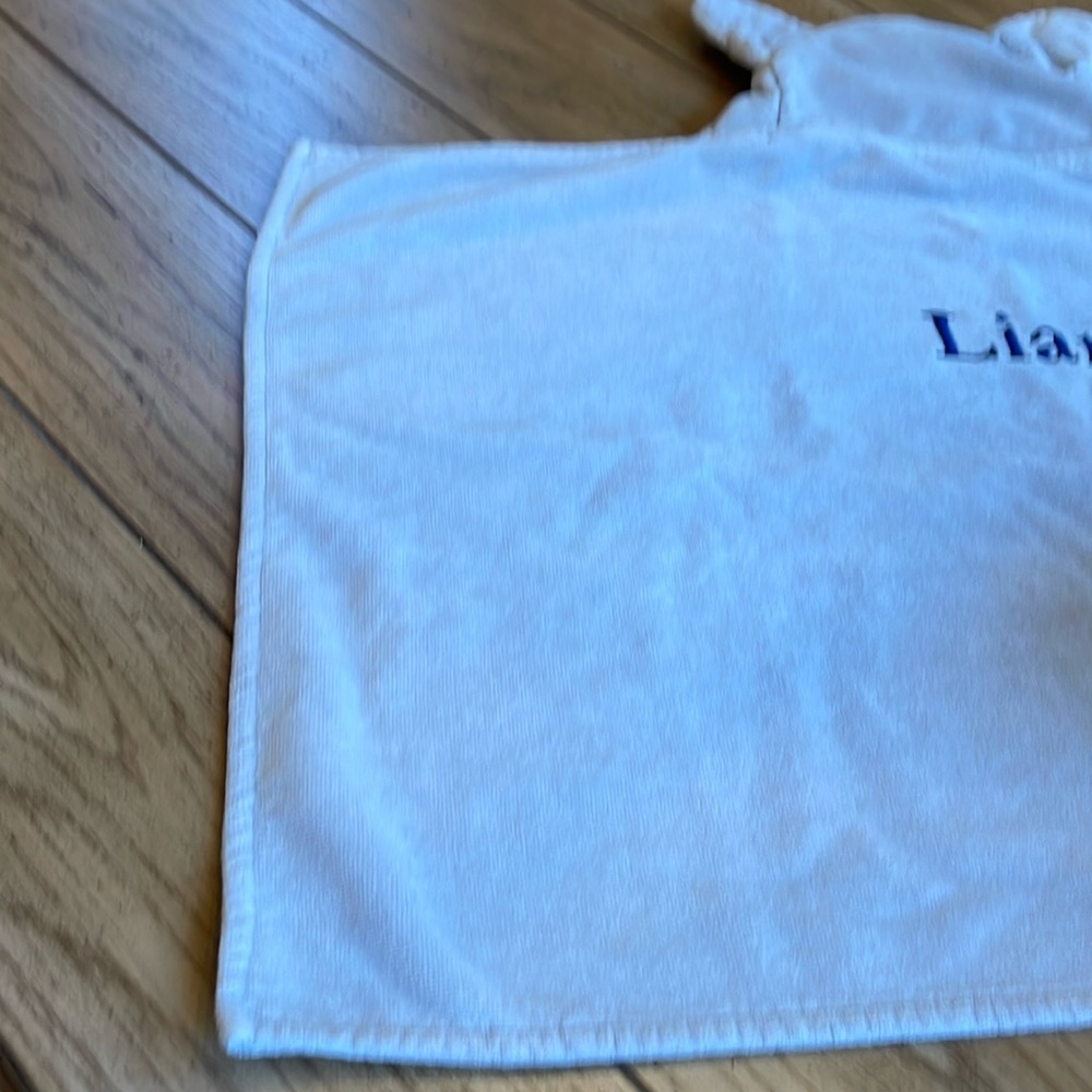Bear Kid Hooded Towel Pottery Barn - Picture 9 of 11